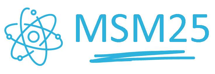 logo-msm